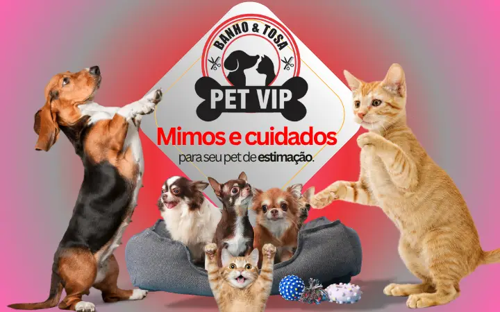 🐾 Seu pet merece o melhor! No Pet VIP Banho & Tosa, carinho, cuidado e beleza andam juntos! 💦✂️🐶 📅 Agende já o banho do seu pet 📲 (17) 99273-7799 ✨ Atendimento com amor, ambiente seguro e profissionais dedicados. Porque seu melhor amigo merece tratamento VIP! 💛