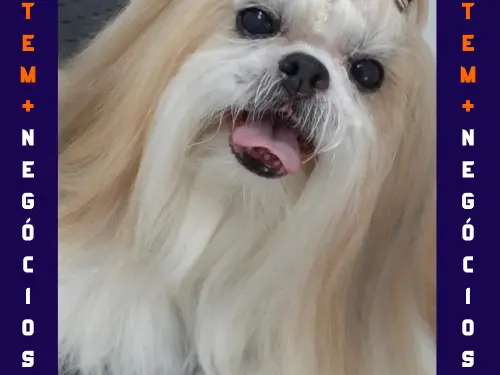 🐾 Seu pet merece o melhor! No Pet VIP Banho & Tosa, carinho, cuidado e beleza andam juntos! 💦✂️🐶 📅 Agende já o banho do seu pet 📲 (17) 99273-7799 ✨ Atendimento com amor, ambiente seguro e profissionais dedicados. Porque seu melhor amigo merece tratamento VIP! 💛