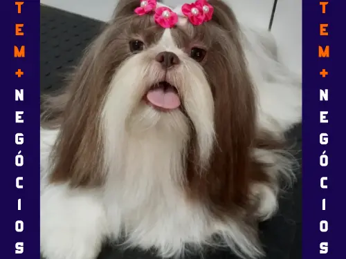 🐾 Seu pet merece o melhor! No Pet VIP Banho & Tosa, carinho, cuidado e beleza andam juntos! 💦✂️🐶 📅 Agende já o banho do seu pet 📲 (17) 99273-7799 ✨ Atendimento com amor, ambiente seguro e profissionais dedicados. Porque seu melhor amigo merece tratamento VIP! 💛