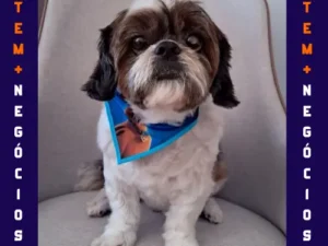 🐾 Seu pet merece o melhor! No Pet VIP Banho & Tosa, carinho, cuidado e beleza andam juntos! 💦✂️🐶 📅 Agende já o banho do seu pet 📲 (17) 99273-7799 ✨ Atendimento com amor, ambiente seguro e profissionais dedicados. Porque seu melhor amigo merece tratamento VIP! 💛