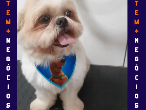🐾 Seu pet merece o melhor! No Pet VIP Banho & Tosa, carinho, cuidado e beleza andam juntos! 💦✂️🐶 📅 Agende já o banho do seu pet 📲 (17) 99273-7799 ✨ Atendimento com amor, ambiente seguro e profissionais dedicados. Porque seu melhor amigo merece tratamento VIP! 💛