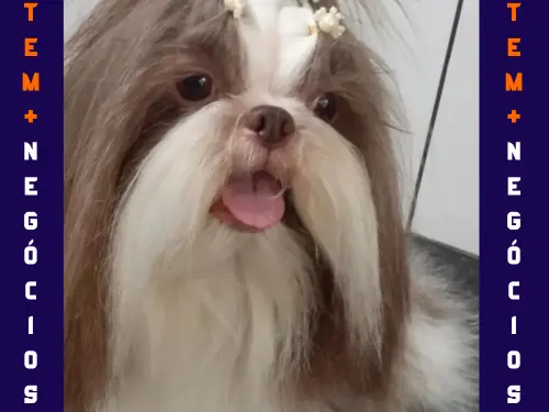 🐾 Seu pet merece o melhor! No Pet VIP Banho & Tosa, carinho, cuidado e beleza andam juntos! 💦✂️🐶 📅 Agende já o banho do seu pet 📲 (17) 99273-7799 ✨ Atendimento com amor, ambiente seguro e profissionais dedicados. Porque seu melhor amigo merece tratamento VIP! 💛