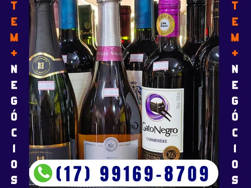 No Serv Festa Almirante 2 você encontra tudo o que precisa para garantir momentos inesquecíveis com praticidade e economia. Somos conhecidos por ser o mais gelado e barato da região, oferecendo uma grande variedade de cervejas, refrigerantes, sucos e vinhos sempre bem gelados. Além disso, contamos com gelo, carvão e um minimercado completo para atender todas as suas necessidades em festas, encontros ou no dia a dia. Localizado em São José do Rio Preto, no bairro Higienópolis, nosso espaço é a escolha ideal para quem busca qualidade, preço justo e conveniência em um só lugar.