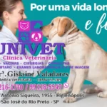 Univet Clinica Veterinária – Higienópolis