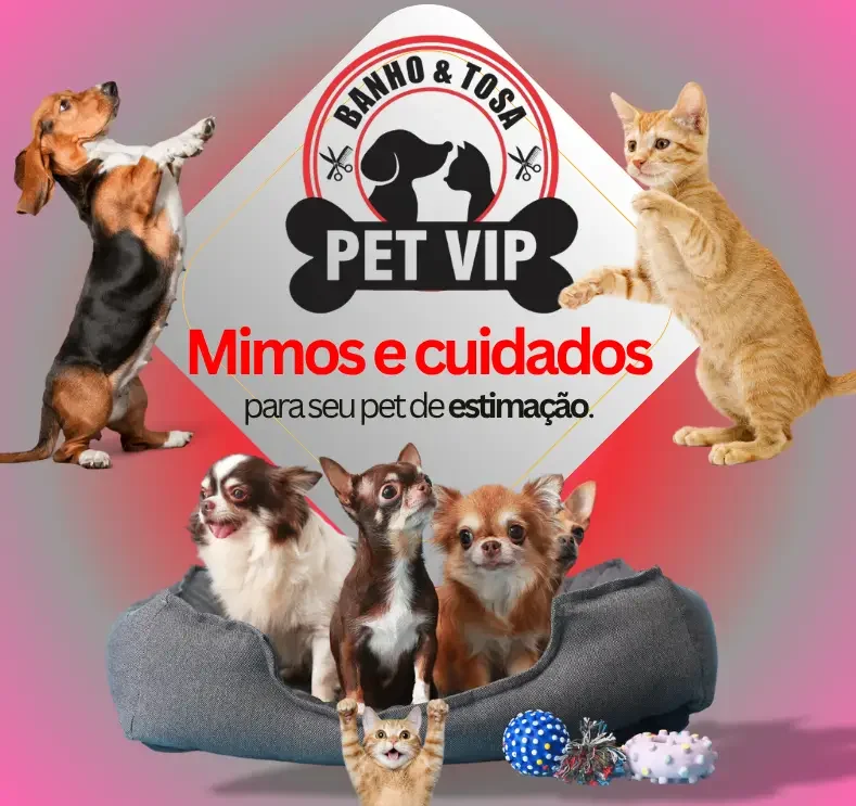 🐾 Seu pet merece o melhor! No Pet VIP Banho & Tosa, carinho, cuidado e beleza andam juntos! 💦✂️🐶 📅 Agende já o banho do seu pet 📲 (17) 99273-7799 ✨ Atendimento com amor, ambiente seguro e profissionais dedicados. Porque seu melhor amigo merece tratamento VIP! 💛